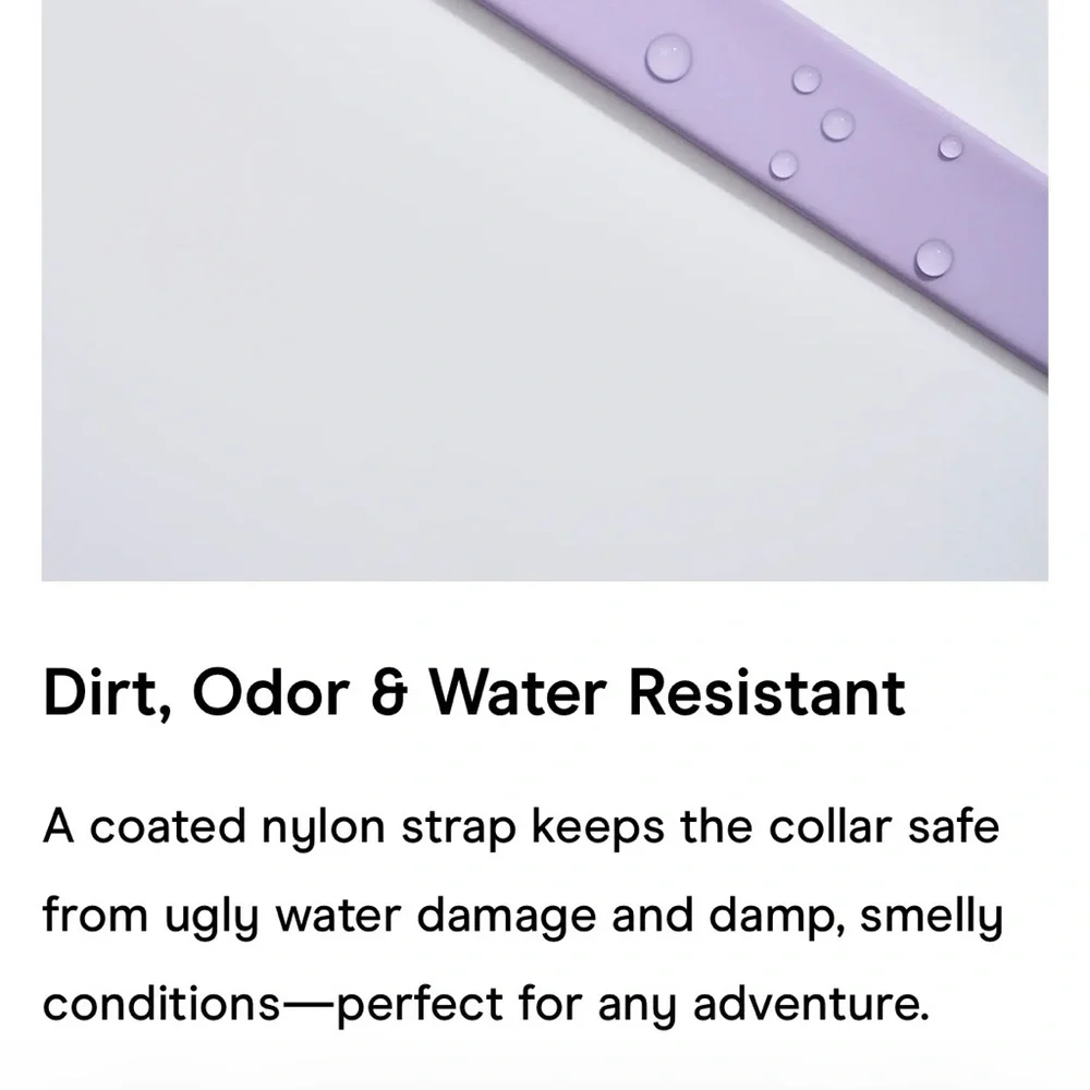 Wild One Dog Leash - Lilac